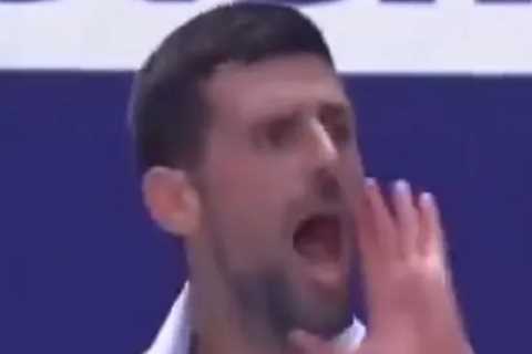 Novak Djokovic Loses Temper at Australian Open Quarter-Finals