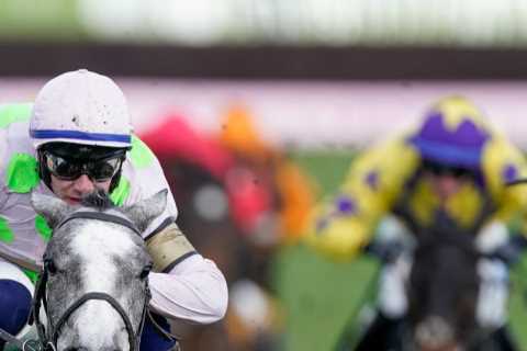 Cheltenham Trials Day: 5 Horses You Can't Miss