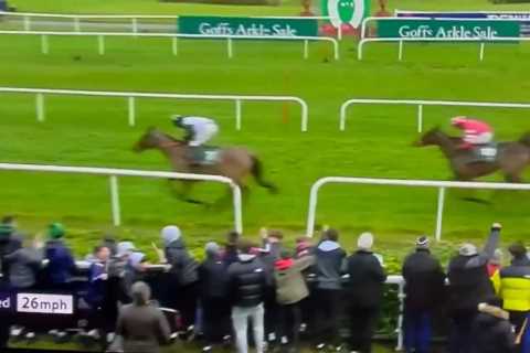 Horse Racing Fans Left Confused by Unusual Celebration at Gowran Park