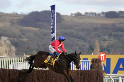 Hot Ryanair Chase favourite Allaho ruled OUT of Cheltenham Festival by trainer Willie Mullins in..