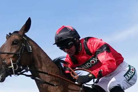 Ruby Walsh Reveals 40-1 Cheltenham Festival Tip That Will Get Your Heart Racing