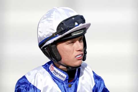 Rising Star Freddie Gingell Aims for First Grade 1 Win at Cheltenham