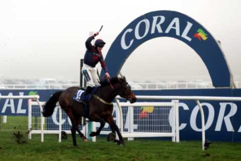 Heartbroken Jockey Mourns Death of Top Horse at Cheltenham Trials Day