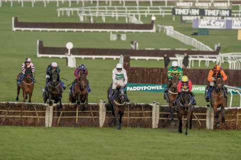 Solution Revealed: How to Help Paisley Park Win Another Stayers' Hurdle