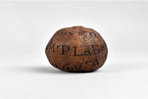 285-Year-Old Lemon Sells for £1,400 at Auction