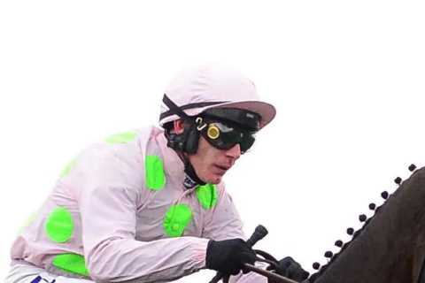 Willie Mullins Hits Back at Punters Over Gaelic Warrior's Absence