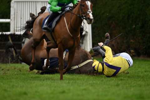 Photos capture moment jockey rushes to friend’s aid on day of chaos and biting at Hereford races