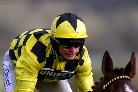 Exciting Times Ahead at Cheltenham Festival