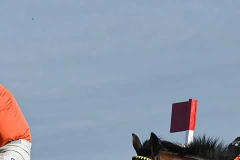 Who won Irish Gold Cup 2024? Full result – how EVERY horse finished in 3.35 at Leopardstown