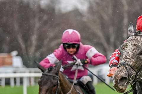 Sir Alex Ferguson Breaks Record with £633,000 Purchase of Jumps Horse Caldwell Potter