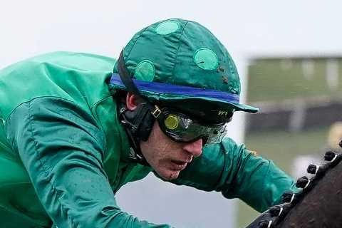 Fresh Willie Mullins blow with horse tipped to 'light up the jumps' axed from Cheltenham Festival