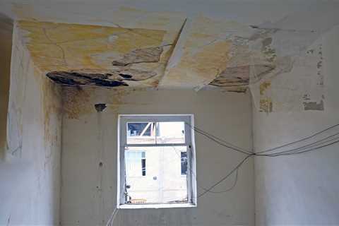 ALDI's £5 Essential Beats Condensation, Damp, and Mould