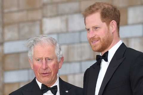 Prince Harry and King Charles May Meet Again Following Transatlantic Dash to See Father