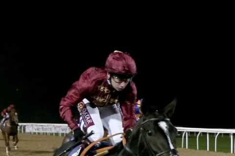 'Unsafe' Newcastle Horse Race Postponed After Realizing It Will Be Run in the Dark