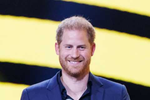 Prince Harry's Search for a New TV Deal