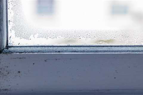 Shoppers Rave About Affordable Mould-Fighting Gadget