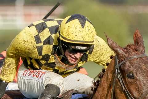 This Willie Mullins Grade 1 winner is a steal for Cheltenham and three horses to watch