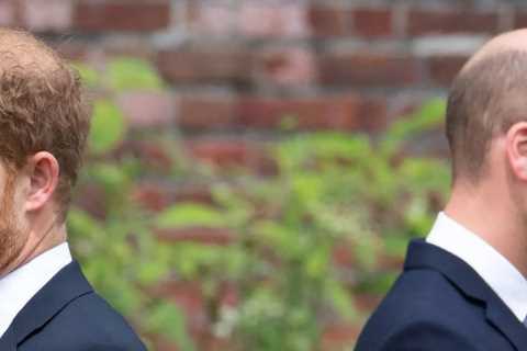 Prince Harry and William urged to grow up and end rift for the sake of their father