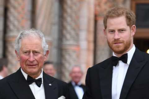 Prince Harry urged to apologize to William and Charles, but will he?
