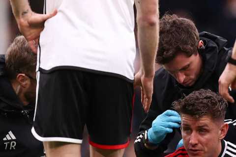 Fulham vs Bournemouth Delayed as Tom Cairney Suffers Horrific Head Injury
