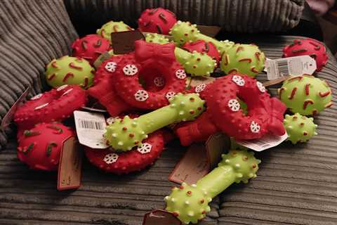 Dog Lovers Flock to Asda for 20p Dog Toys