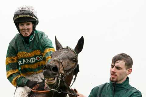 JP McManus Horses Could Make Stunning Comebacks at Cheltenham Festival