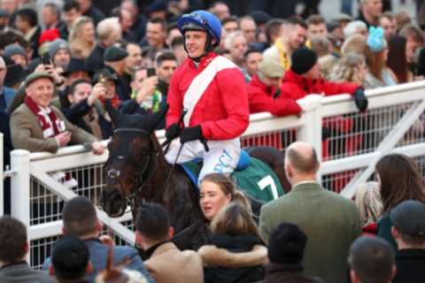 Awesome Wonderhorse Ferny Hollow Set for Cheltenham Festival Return After Four Years