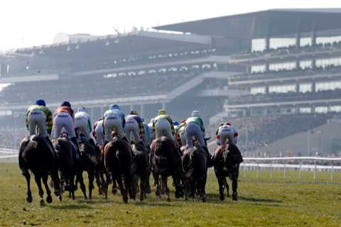 Types of Horse Races: A Breakdown of Jumps and Flat Racing