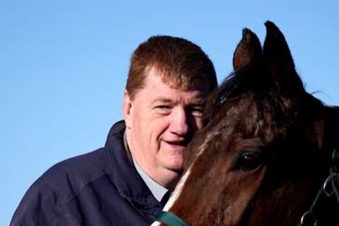 Shark Hanlon: The Trainer Who Finds Hidden Gems
