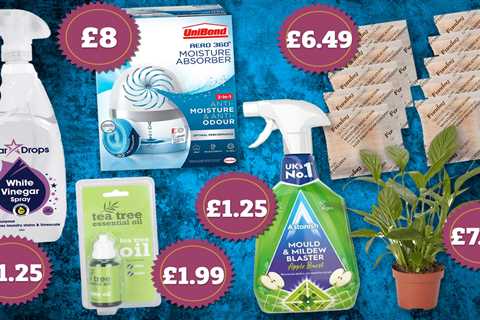 Easy and Affordable Ways to Tackle Mould in Your Home