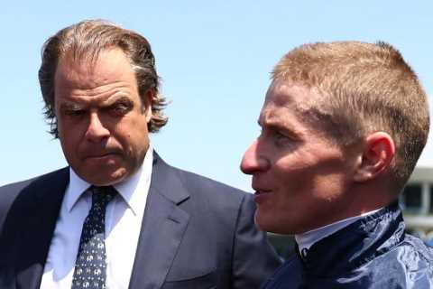 Billionaire Horse Owner Surprises Groom with Generous Gift