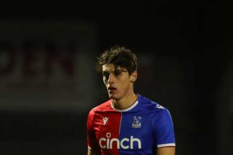 Crystal Palace Under-21s Match Abandoned After Defender's Horror Injury
