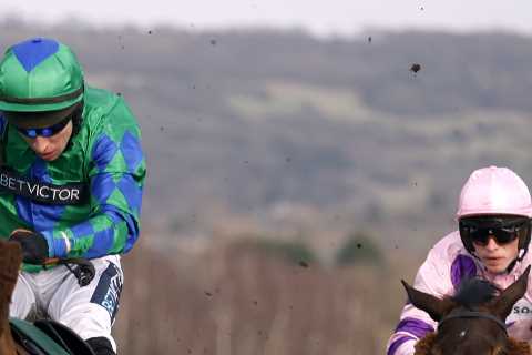Trainer Jamie Snowden Reveals Shock Plan for Cheltenham Specialist at Ryanair Chase