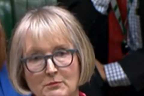 Protesters branded 'mob' as calls to evacuate Parliament spark fury