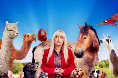 Psychic pets and TV antics: A glimpse into the world of bizarre television