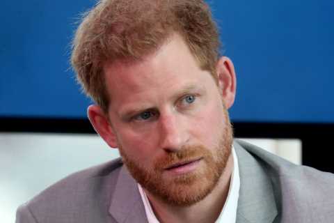 Royal Expert Claims Prince Harry's Book Contains Inaccuracies
