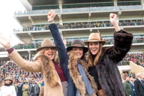 Cheltenham Festival Weather Forecast Brightens for Punters