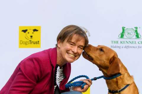 Tory MP Proposes Plan to Ban Cruel Puppy Smuggling