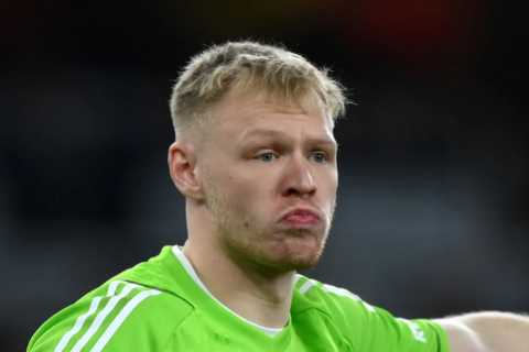 Aaron Ramsdale Spends Time Away from Arsenal Training with Heartwarming Hobby Every Football Fan..