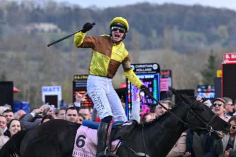 Cheltenham Festival 2024: Your Complete Guide
