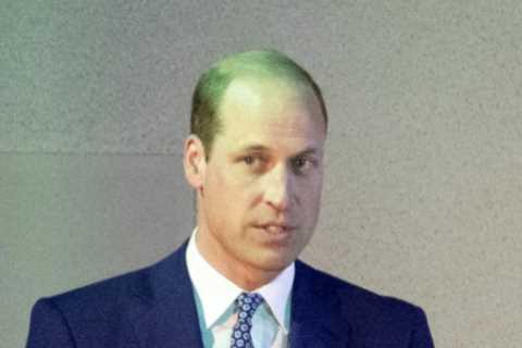 Prince William's 'Commanding' Earthshot Speech Amid Family Health Worries
