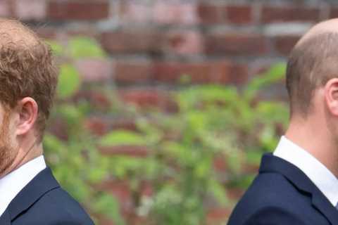 Why Prince William Was 'Envious' of Harry as Kids, According to Princess Diana's Former Royal..