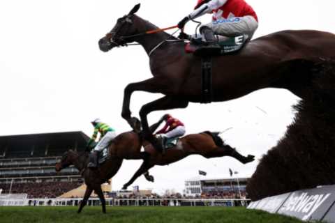 Cheltenham Festival 2024: Who Won Queen Mother Champion Steeple Chase?