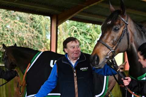 Defiant Nicky Henderson Sticks by Sir Gino Amidst Cheltenham Woes
