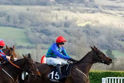 Cheltenham Festival 2024: Handicap Steeple Chase Day 1 Results Revealed