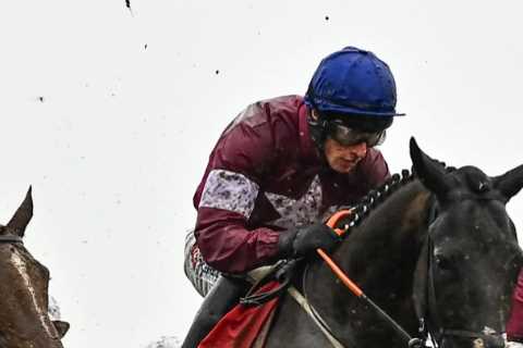 Cheltenham Festival Race Abandoned Due to Unraceable Track