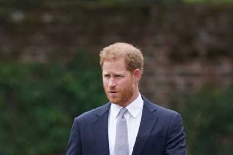 Prince Harry & William to ‘reunite’ in rare show of togetherness to pay tribute to mum Diana… but..