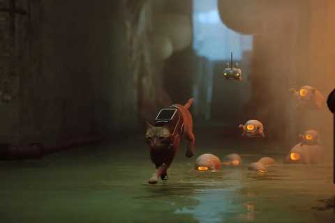 PS5 deal at Asda: Gamers snag popular game Stray for just £5