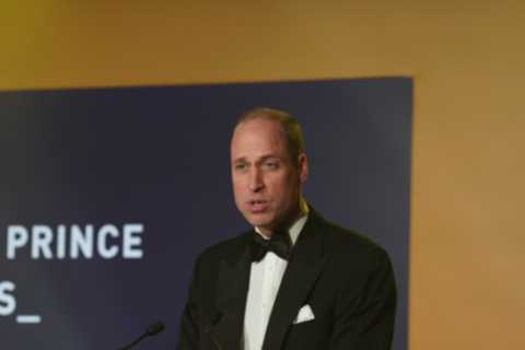 William and Harry Support Diana's Legacy Amid Ongoing Rift