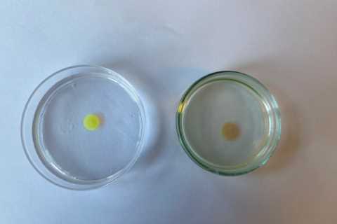 Scientists develop 'lollipops' to diagnose mouth cancer before symptoms show